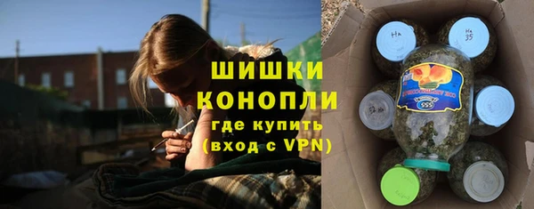 стаф Заволжск